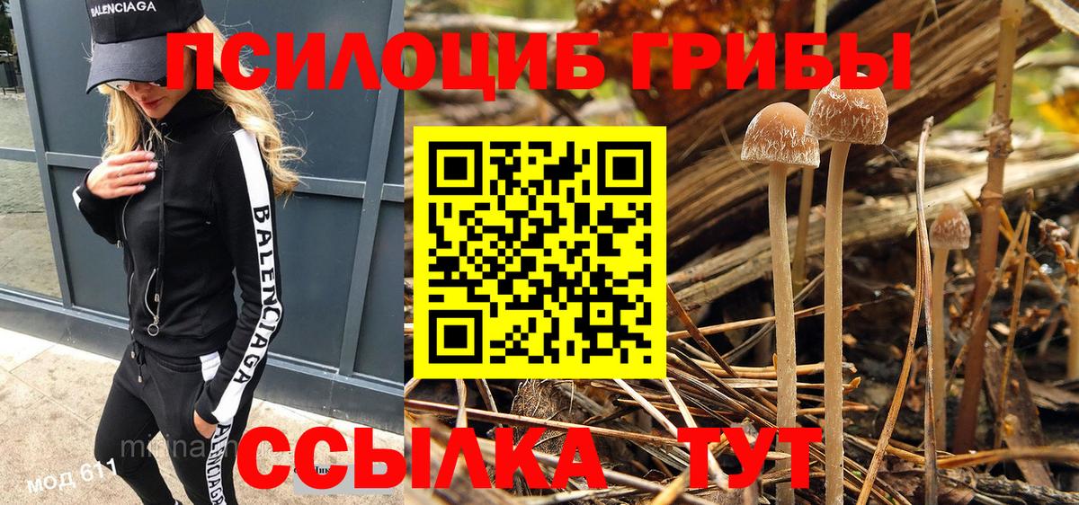 Галлюциногенные грибы мицелий  Вход с VPN  Лабинск 